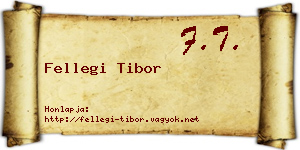 Fellegi Tibor névjegykártya